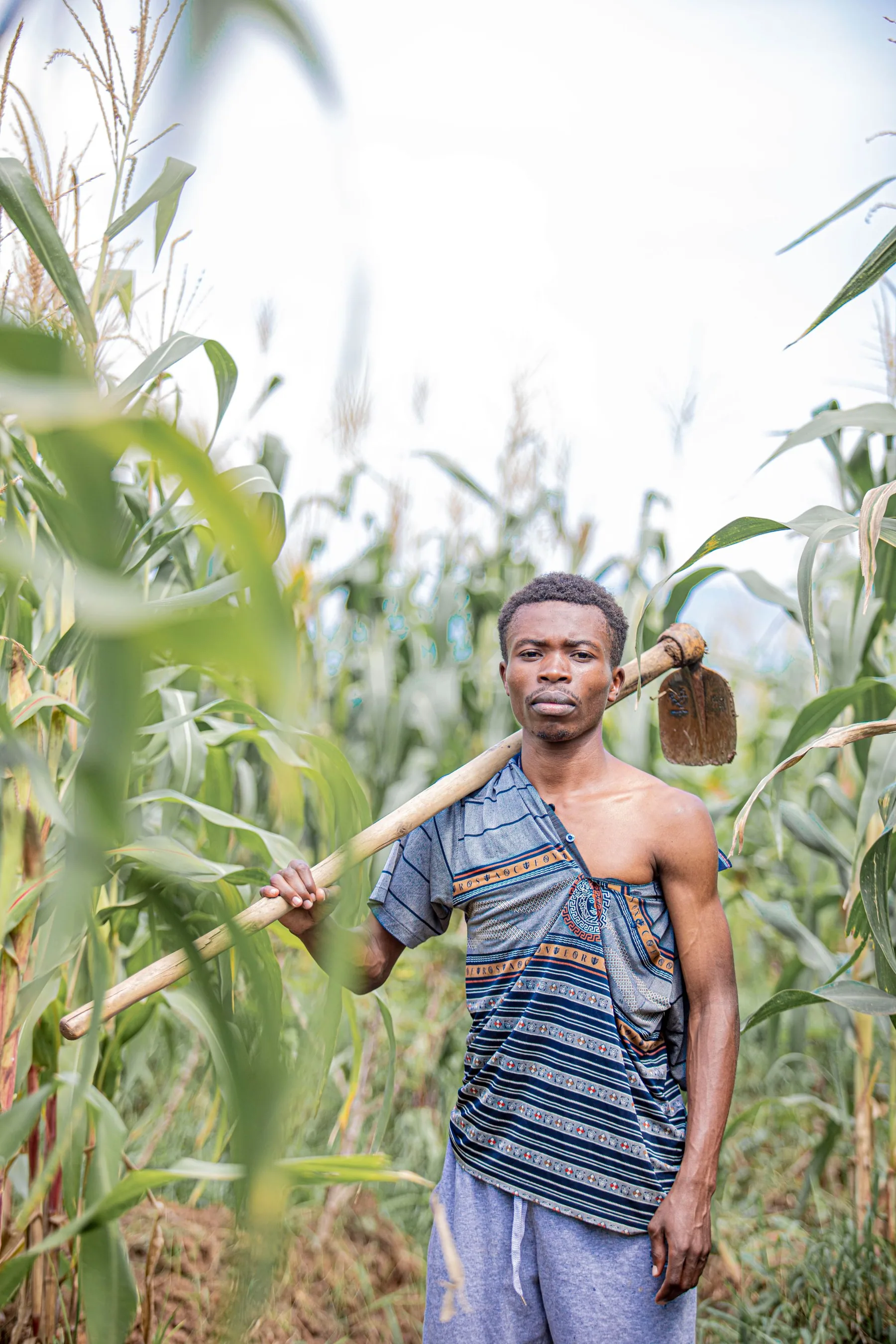 Agriculteur debout dans un champ de maïs, une houe sur l'épaule